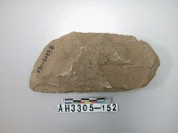 藏品(大型斜刃打製石斧)的圖片